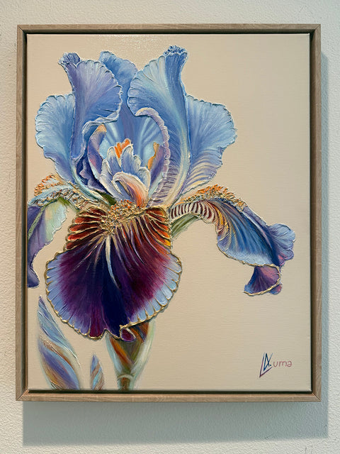 Awakening Iris