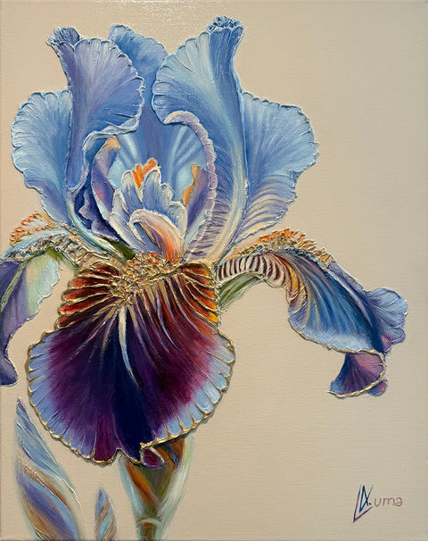 Awakening Iris