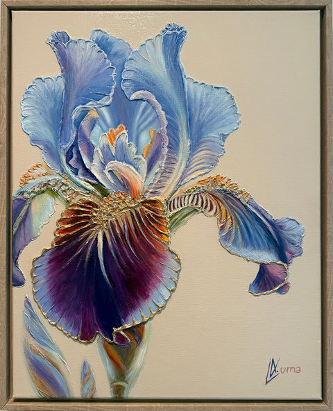 Awakening Iris
