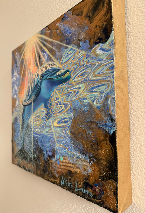 Dolphin’s Song