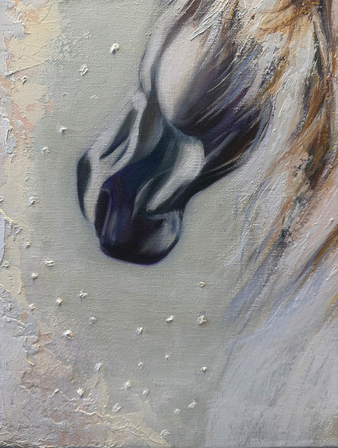 Eira