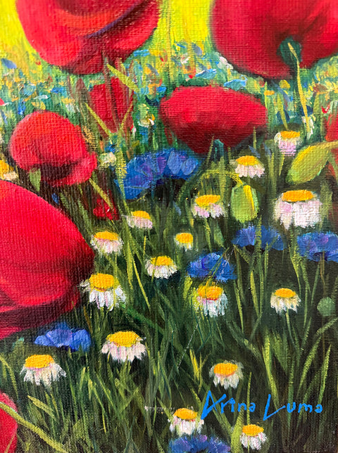 Fields of Joy