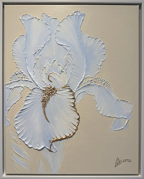 Gentle Iris