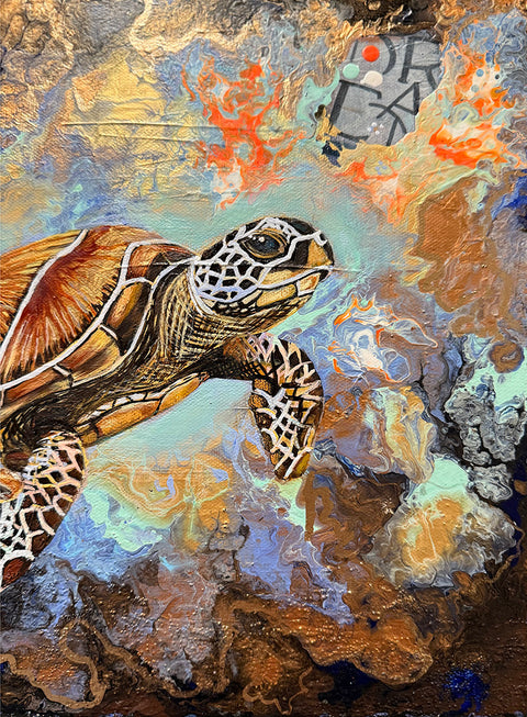 Turtle’s Journey