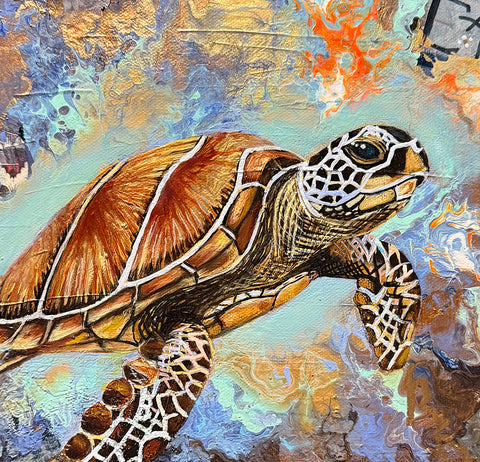 Turtle’s Journey