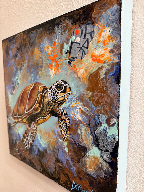 Turtle’s Journey