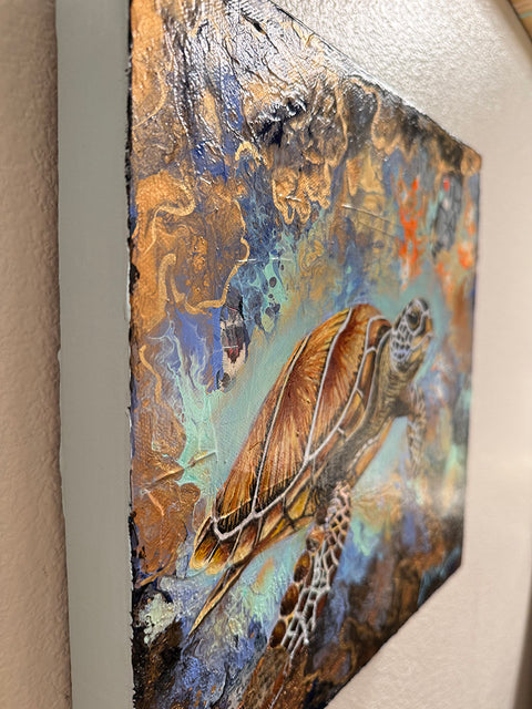 Turtle’s Journey