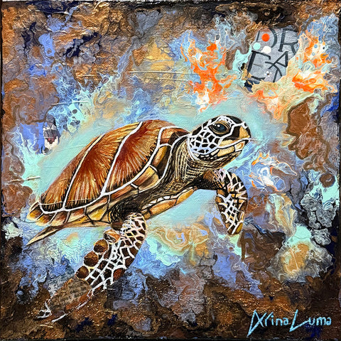 Turtle’s Journey