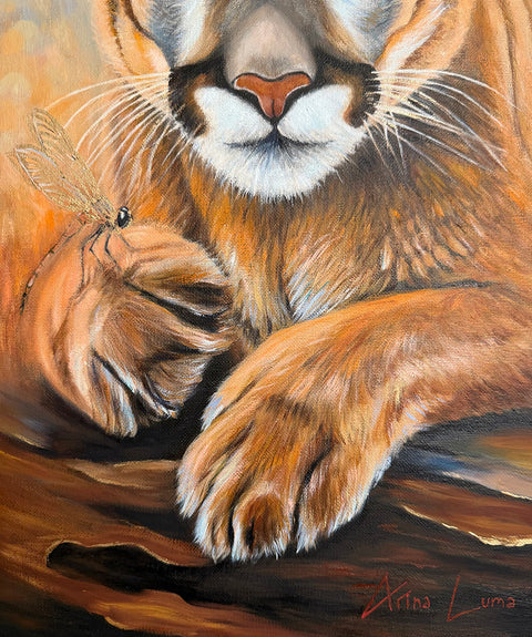 When the Dragonfly Landed