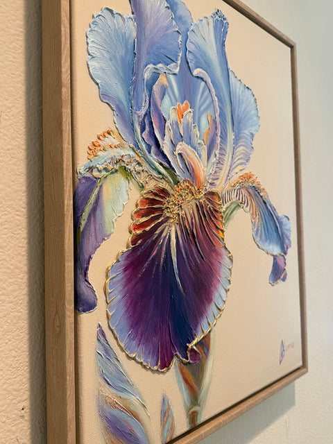 Awakening Iris