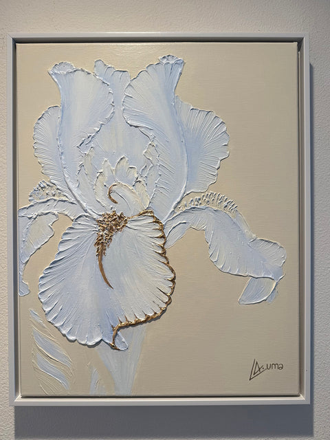 Gentle Iris